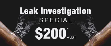 Leak Investigation Discount Henderson